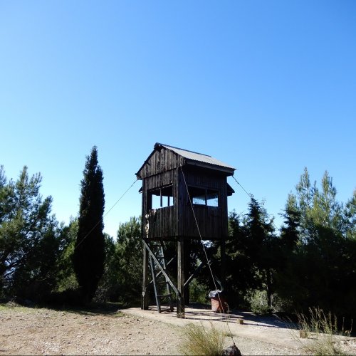 Discover secret Hymettus. Hiking guided day tour in Athens