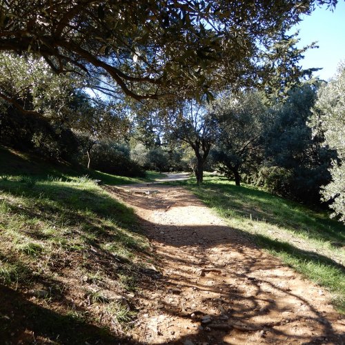 Discover secret Hymettus. Hiking guided day tour in Athens