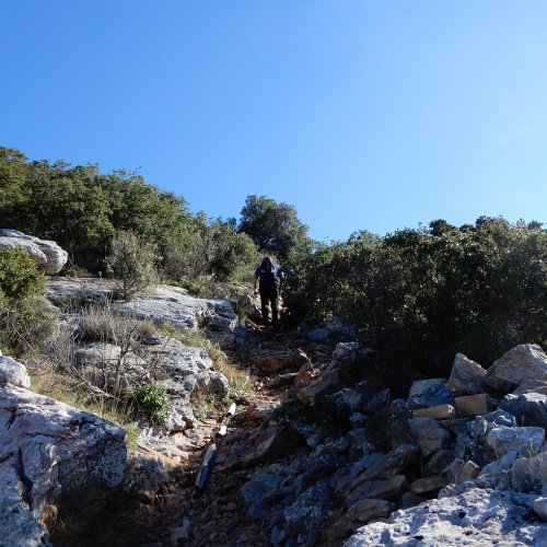 Discover secret Hymettus. Hiking guided day tour in Athens