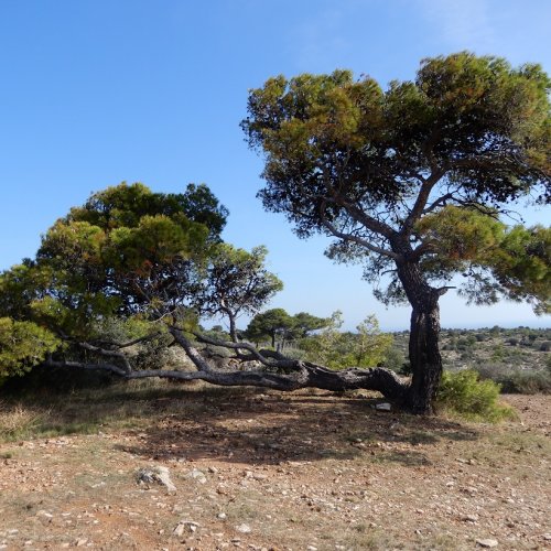 Lavrio and cap Sounio. Day adventure near Athens