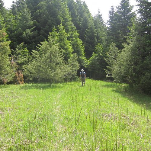 Mainland Greece multiactivity adventure