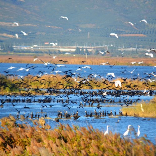 Mainland Greece multiactivity adventure