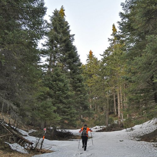Trekking in the mountainous heart of the Peloponnese
