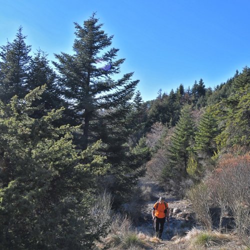 Trekking in the mountainous heart of the Peloponnese