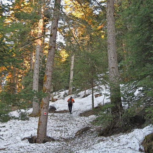 Trekking in the mountainous heart of the Peloponnese