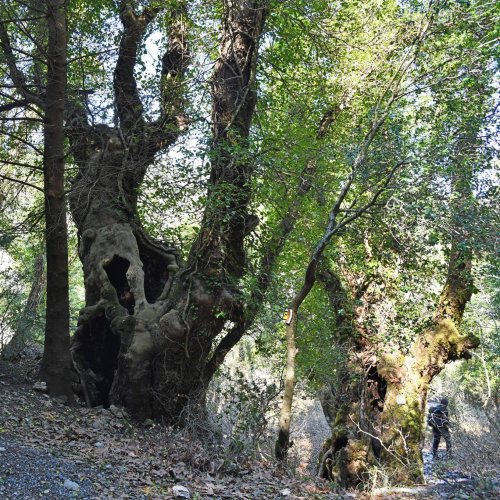 Trekking in the mountainous heart of the Peloponnese