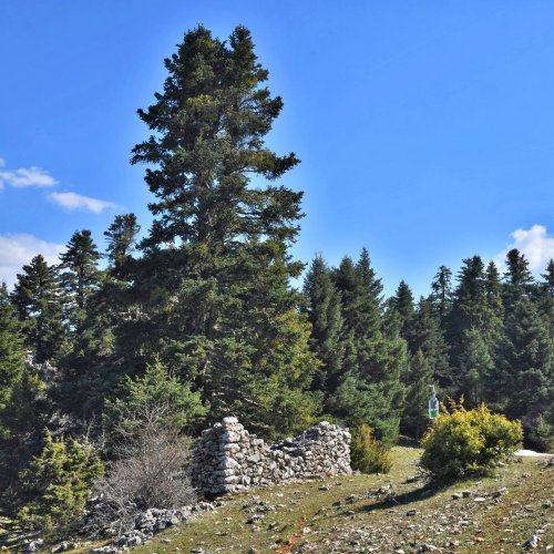 Trekking in the mountainous heart of the Peloponnese