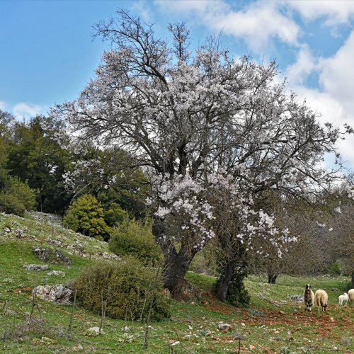 Peloponnese unique walking experience