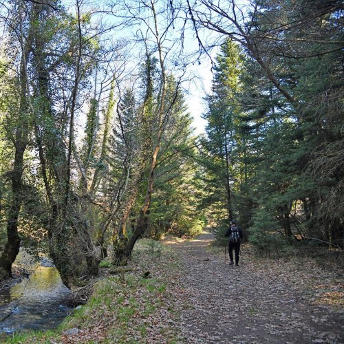 Peloponnese unique walking experience
