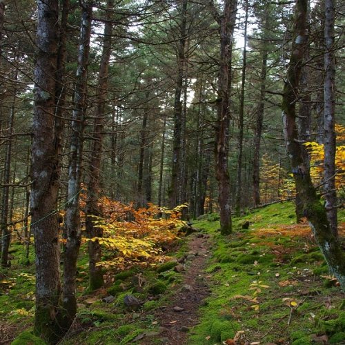 Walking and sightseeing short stay in Mainland Greece