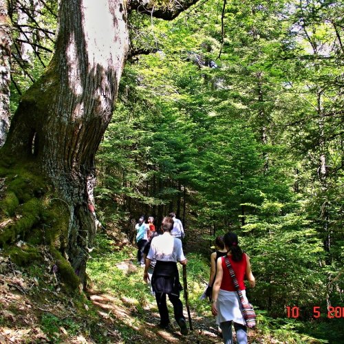 Walking and sightseeing short stay in Mainland Greece