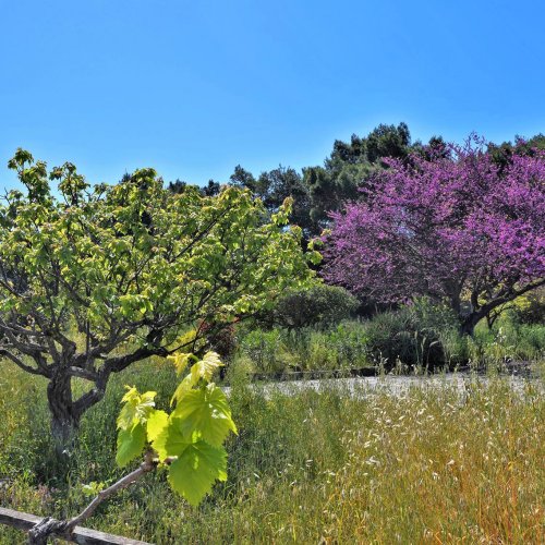 Experience Kythera. Island walking holiday
