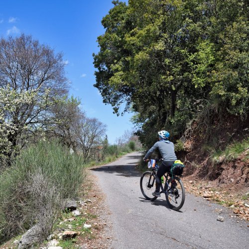 Mountain bike touring in Arcadia