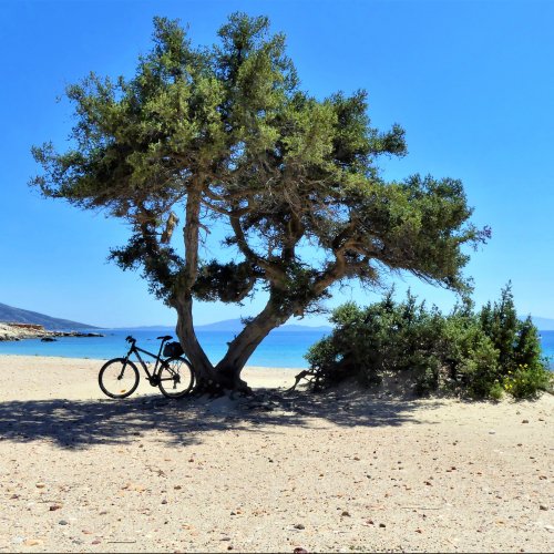 Naxos per Rad