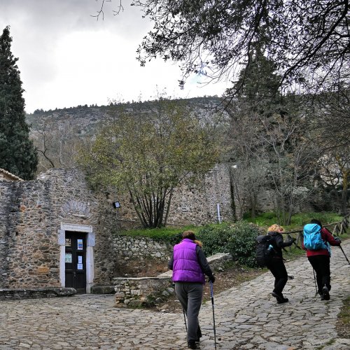 Discover secret Hymettus. Hiking guided day tour in Athens