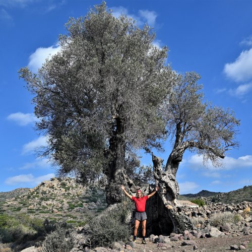 Argosaronic Gulf, island hopping and hiking holidays 