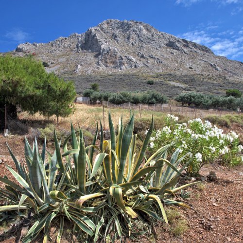 Argosaronic Gulf, island hopping and hiking holidays