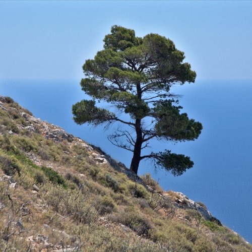 Argosaronic Gulf, island hopping and hiking holidays