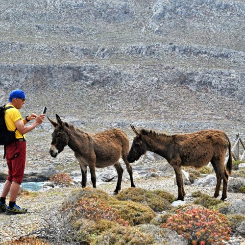 Karpathos. The hiker's island