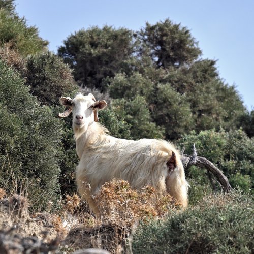 Hiking Naxos Island