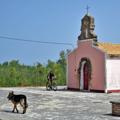 Corfou à VTT : À travers des oliveraies et des villages traditionnels