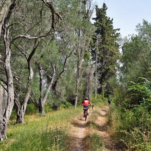 Corfou à VTT : À travers des oliveraies et des villages traditionnels