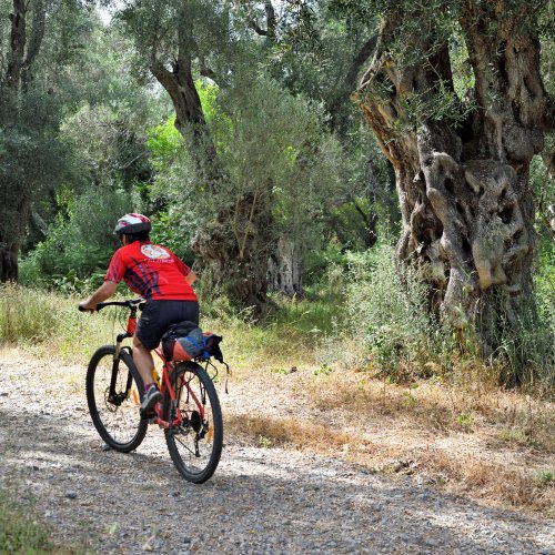 Corfou à VTT : À travers des oliveraies et des villages traditionnels