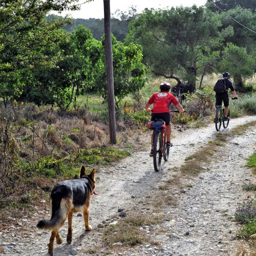 Corfou à VTT : À travers des oliveraies et des villages traditionnels