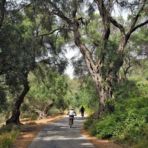 Corfou à VTT : À travers des oliveraies et des villages traditionnels