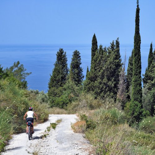 Corfou à VTT : À travers des oliveraies et des villages traditionnels