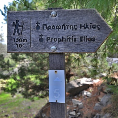 Aegina Island guided walking explorations