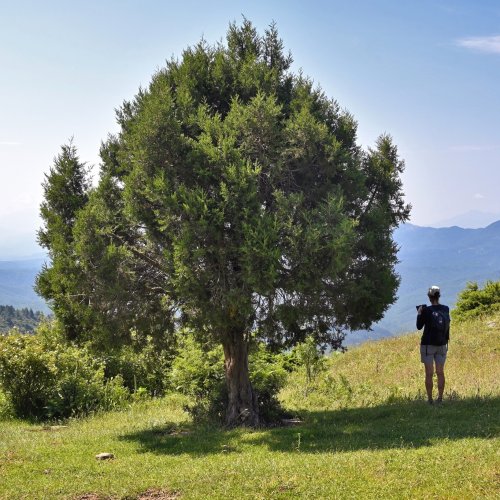 Zagori – « Pays derrière les Montagnes »