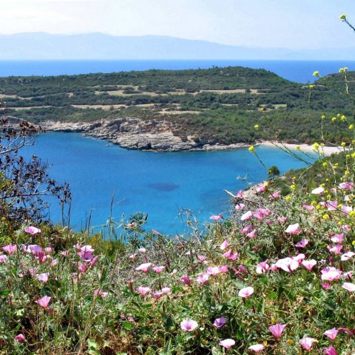 Bike holidays on the island of Spetses