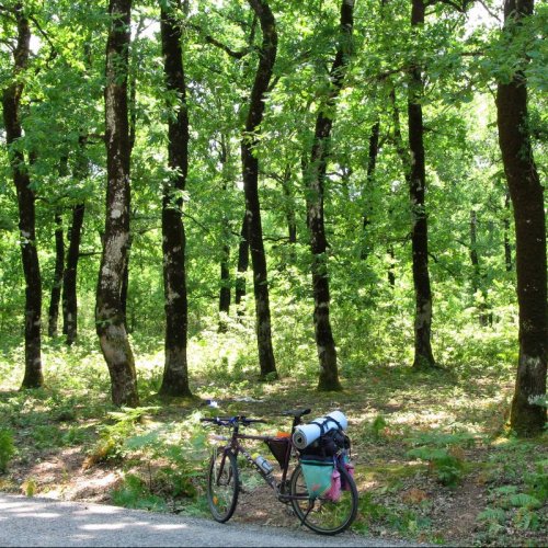 An intense cycling adventure in the Peloponnese. Following Hercules